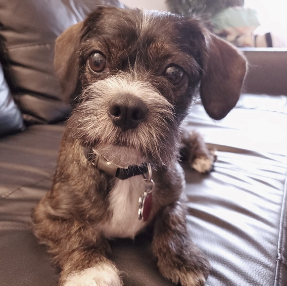 me nombre es Amaree (Uh Mar E) - Picture 6 of 6